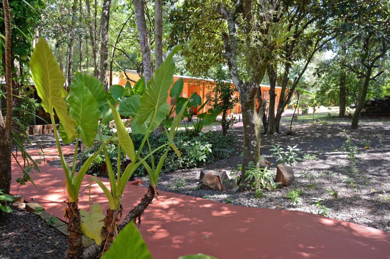 Posada Del Chaman Iguazu بويرتو إجوازو المظهر الخارجي الصورة